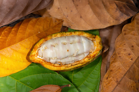 An exceptional cocoa.