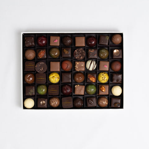 Canonica Box - 48 pcs